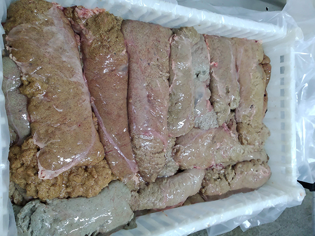 Female roe of carp fish